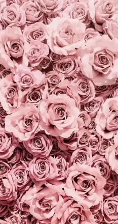 OnlyFans cuenta kendrarashelle header 2