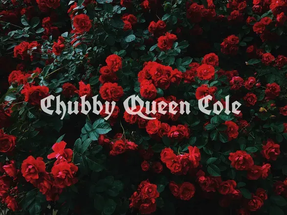 OnlyFans cuenta chubbyqueencole header 2