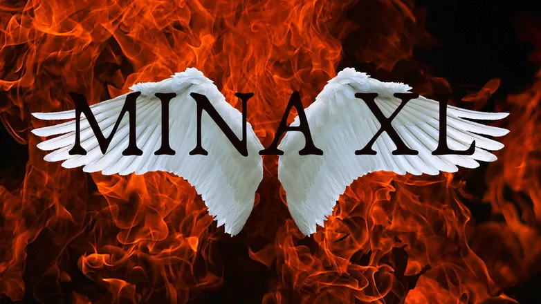 OnlyFans account  minaxl.35a header 2