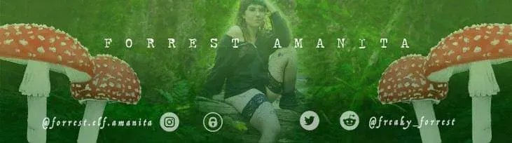 OnlyFans cuenta forrest.elf.amanita header 2