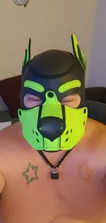 OnlyFans account  squeekbear avatar 1