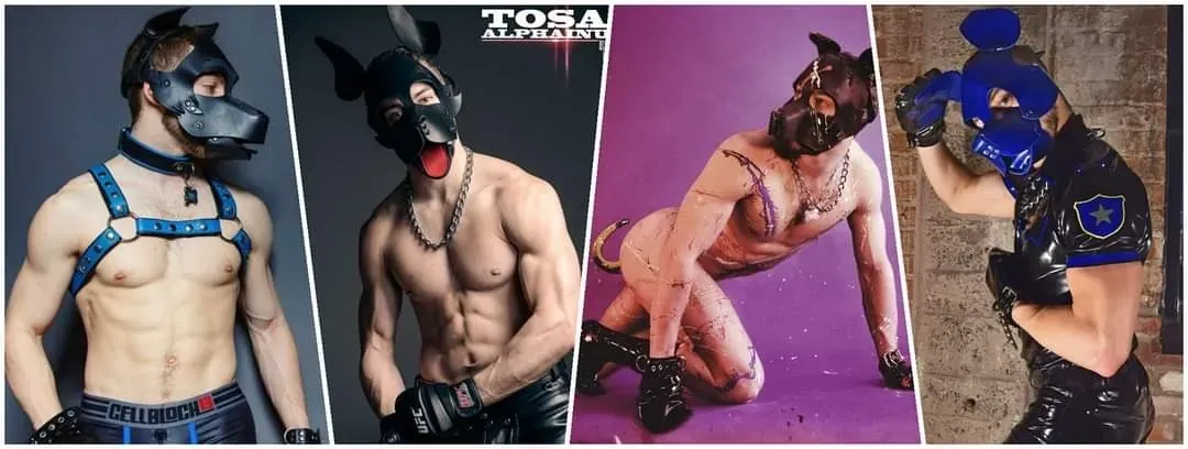 OnlyFans account  puppytosa header 2