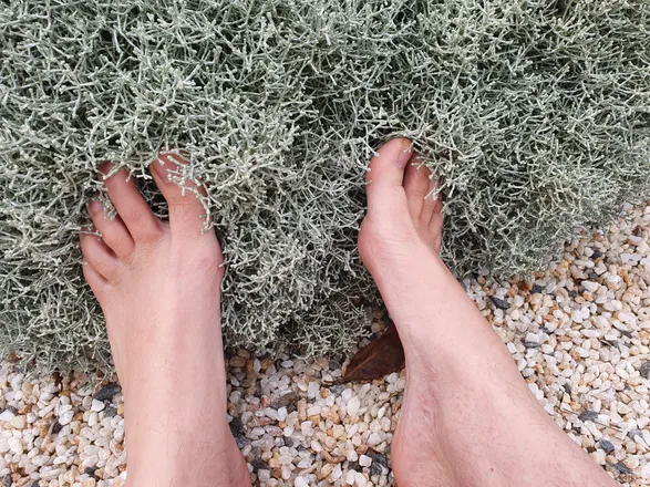 OnlyFans cuenta barefeet365 header 2