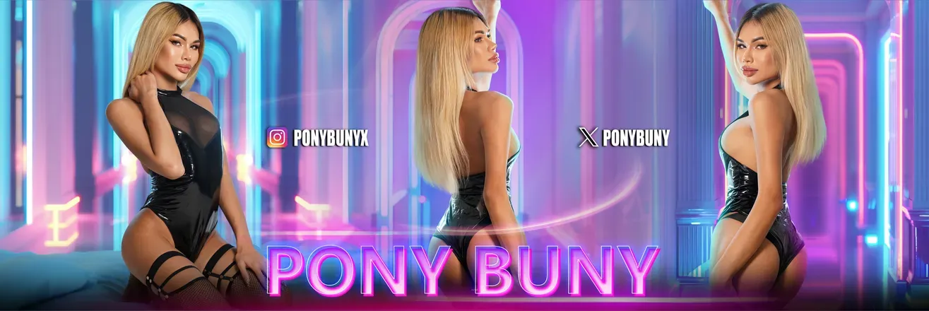 OnlyFans account  ponybuny header 2