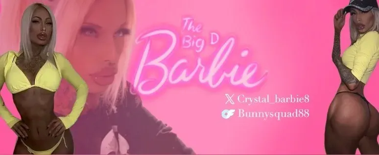 OnlyFans account  bunnysquad88 header 2