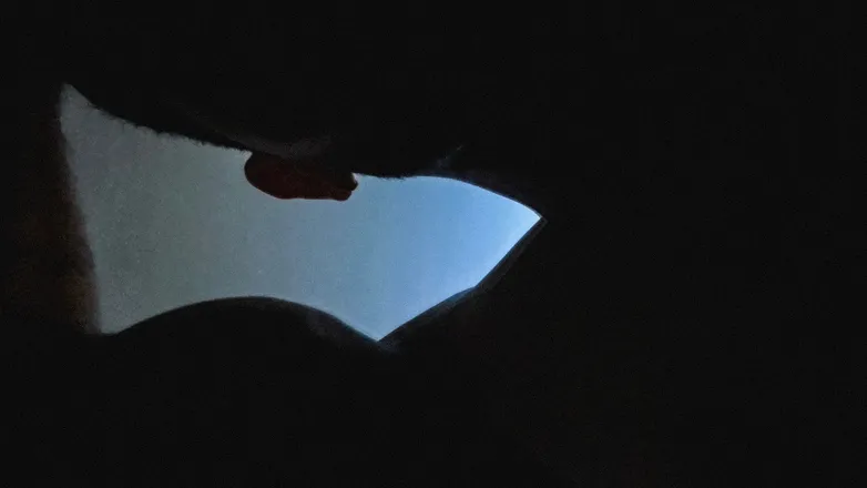 OnlyFans cuenta sgravini header 2