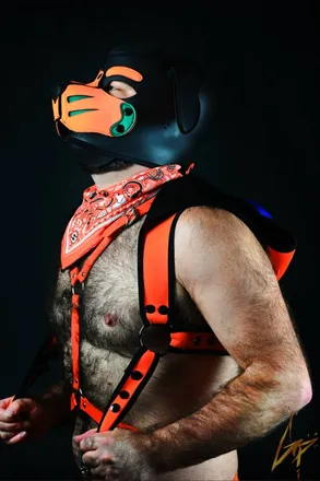 OnlyFans cuenta furpuporion avatar 1
