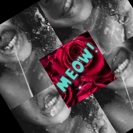 OnlyFans cuenta kittietamer header 2