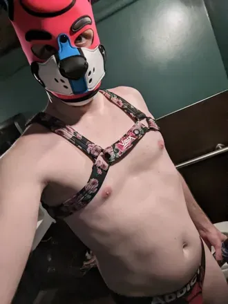 OnlyFans cuenta pupbramble avatar 1