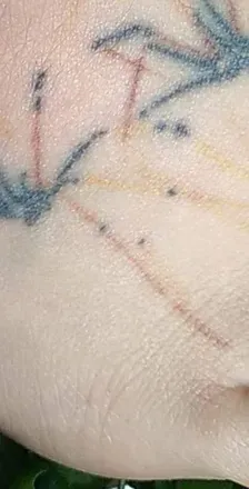 OnlyFans account  foot.with.the.spider.tat avatar 1