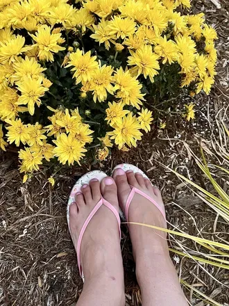 OnlyFans cuenta feetwithfelicitiy avatar 1