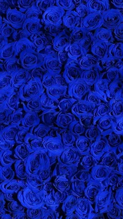 OnlyFans cuenta xoxodiamondsxoxo header 2
