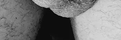 OnlyFans account  nakedgayof header 2