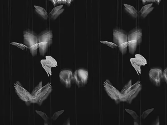 OnlyFans cuenta tatteddreams header 2