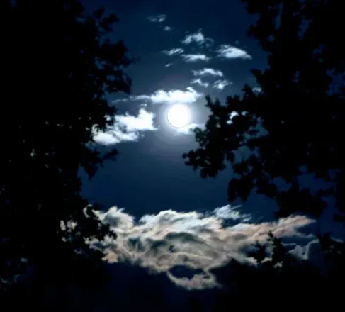 OnlyFans cuenta mistressmaggiemoon header 2
