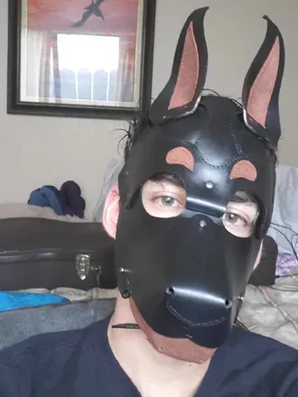 OnlyFans account  indigopup avatar 1