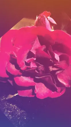 OnlyFans cuenta llcooltones header 2