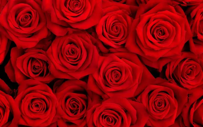 OnlyFans cuenta u174164281 header 2