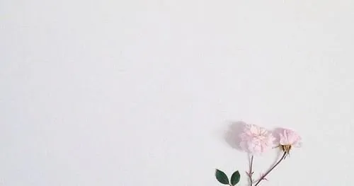 OnlyFans cuenta honeypiexox21 header 2