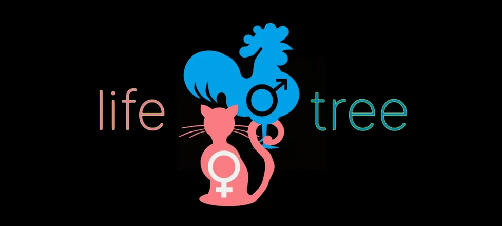 OnlyFans cuenta x-lifetreetv header 2