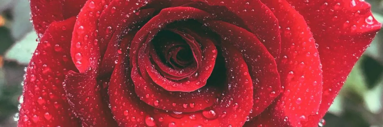 OnlyFans cuenta daniellladior header 2