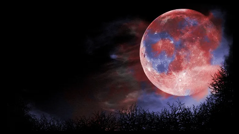 OnlyFans account  yourvamp header 2