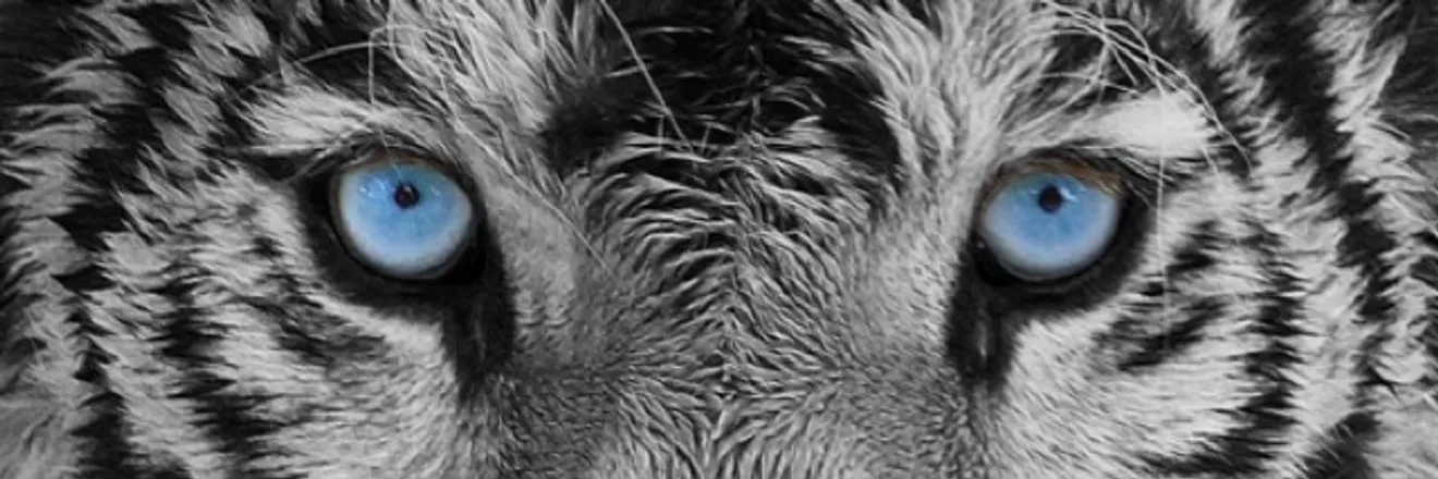OnlyFans cuenta miguelmigs header 1