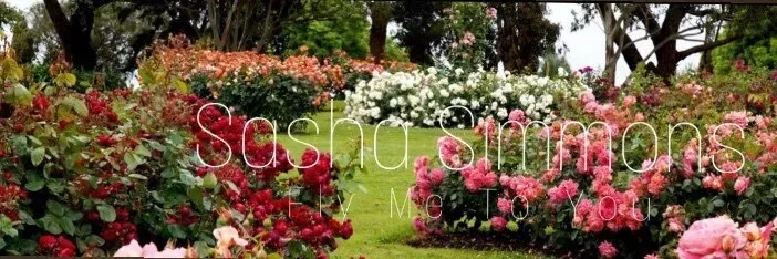 OnlyFans cuenta sashasimmonsvip header 2