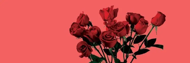 OnlyFans cuenta bby441 header 2