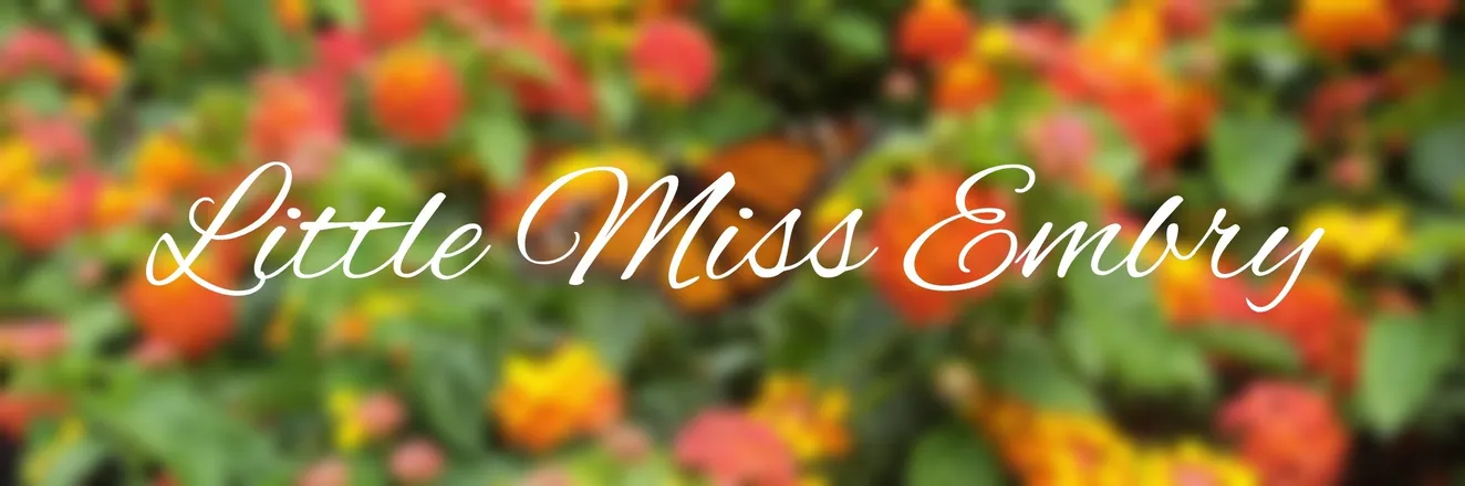 OnlyFans cuenta littlemissembry header 2