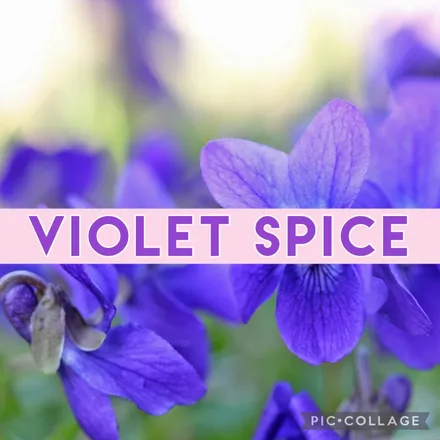OnlyFans cuenta violetspiceppv header 2