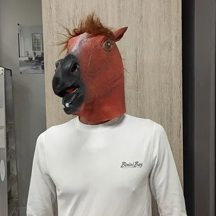 OnlyFans cuenta mrrhorse avatar 1