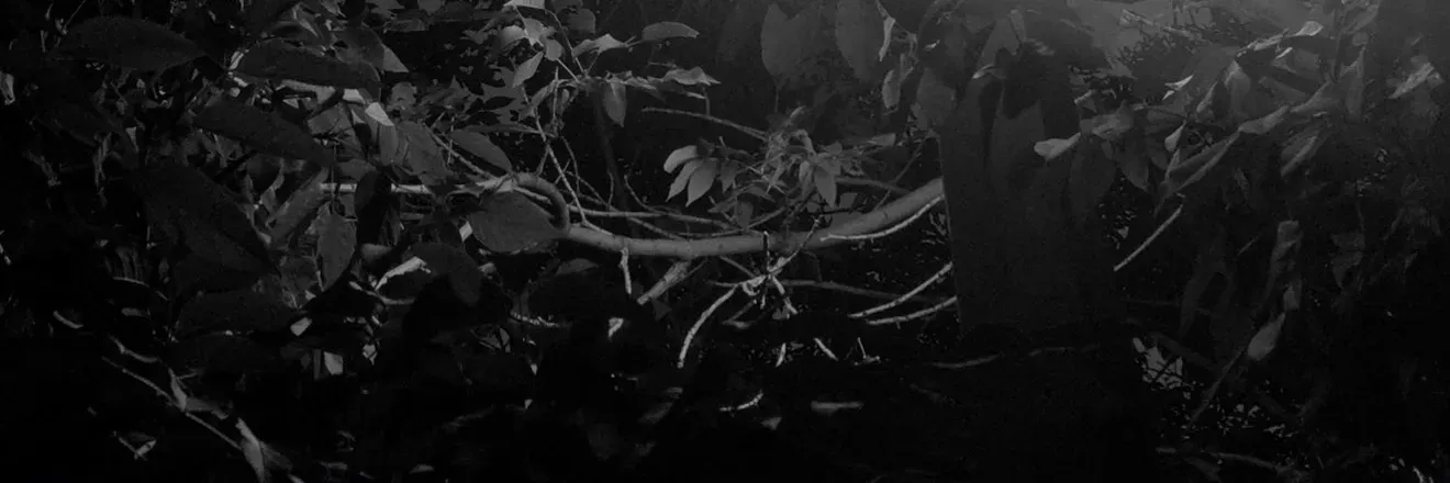 OnlyFans cuenta nofearbaby header 2