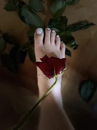 OnlyFans de lolly_toes