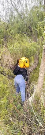 OnlyFans account  tubebekaleshi avatar 1