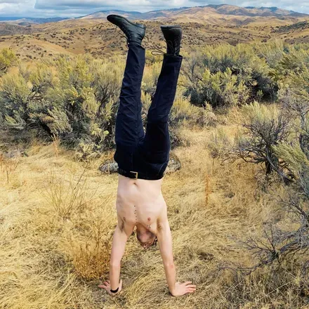 OnlyFans cuenta baroqueback.mountain avatar 1