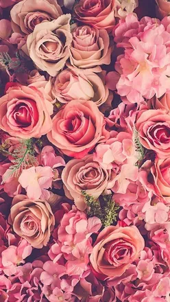 OnlyFans cuenta riley.rose header 2