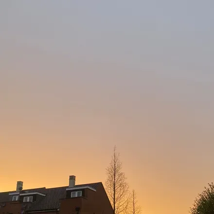 OnlyFans cuenta floatinginstardust header 2