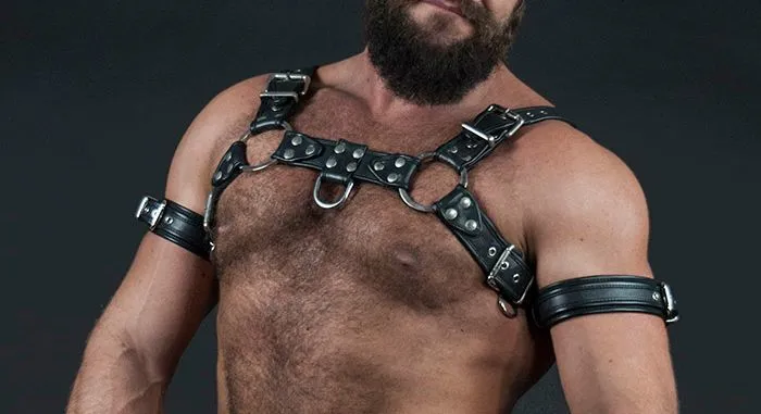 OnlyFans cuenta siriusmuscledog header 2