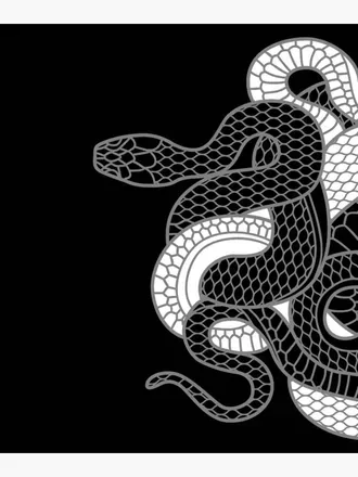 OnlyFans cuenta thebrownsnake header 1