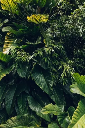 OnlyFans cuenta adamfromthewoods header 2