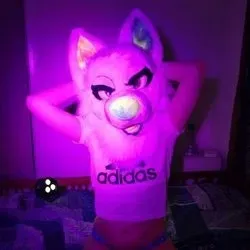 OnlyFans cuenta beaubeingbad avatar 1