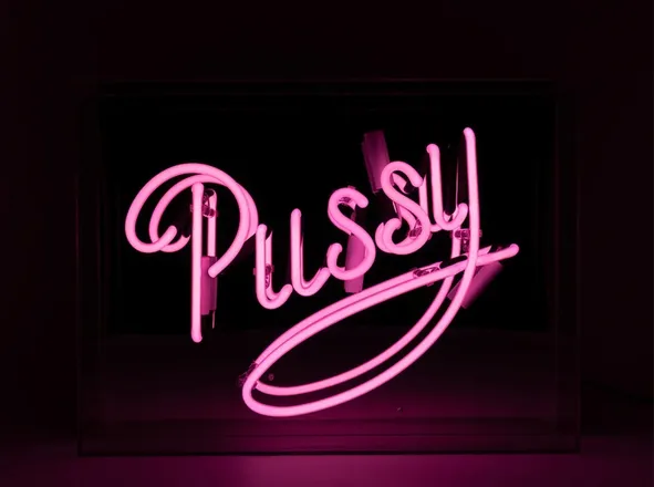OnlyFans cuenta camchrome header 2