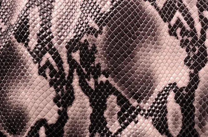 OnlyFans cuenta vanillavenomous header 2