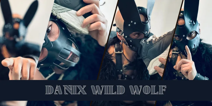 OnlyFans cuenta danixwildwolf header 2