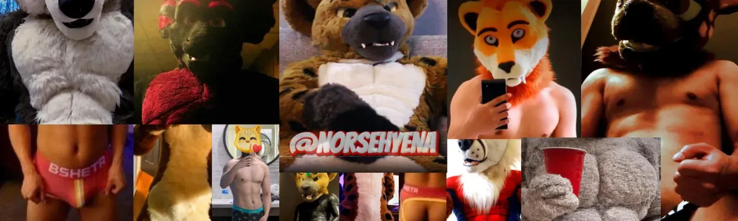 OnlyFans account  norsehyena header 2