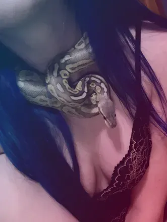 OnlyFans cuenta nova.kitten avatar 1