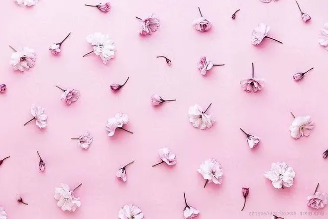 OnlyFans cuenta pink_baby_69 header 2