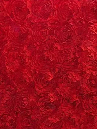 OnlyFans cuenta marianazapata12 header 1