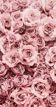 OnlyFans account  noexisteya header 1